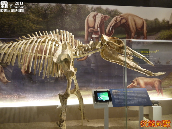 台中國立自然科學博物館：科博館有大批恐龍出沒拉 ～「從龍到獸大滅絕與大演化」特展
