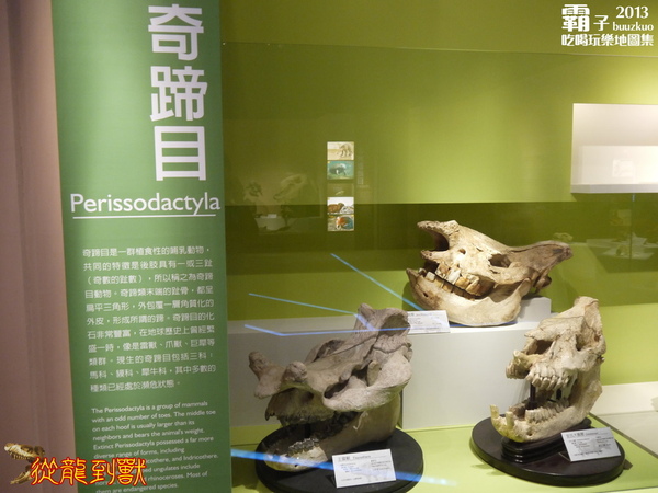 台中國立自然科學博物館：科博館有大批恐龍出沒拉 ～「從龍到獸大滅絕與大演化」特展