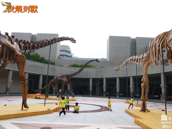 台中國立自然科學博物館：科博館有大批恐龍出沒拉 ～「從龍到獸大滅絕與大演化」特展