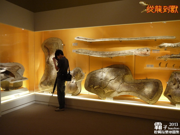 台中國立自然科學博物館：科博館有大批恐龍出沒拉 ～「從龍到獸大滅絕與大演化」特展
