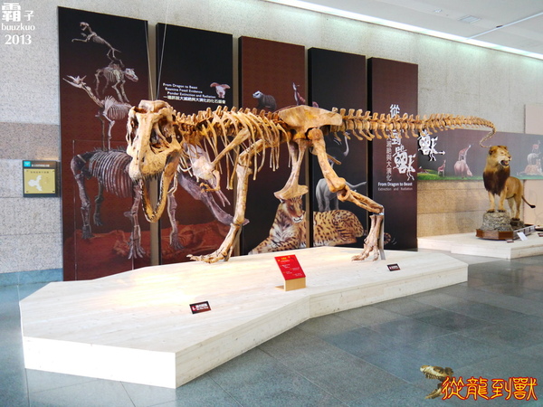 台中國立自然科學博物館：科博館有大批恐龍出沒拉 ～「從龍到獸大滅絕與大演化」特展