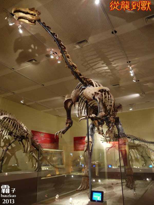 台中國立自然科學博物館：科博館有大批恐龍出沒拉 ～「從龍到獸大滅絕與大演化」特展
