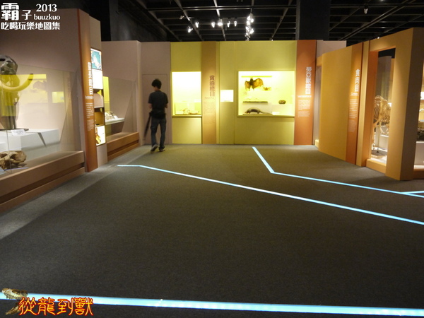 台中國立自然科學博物館：科博館有大批恐龍出沒拉 ～「從龍到獸大滅絕與大演化」特展