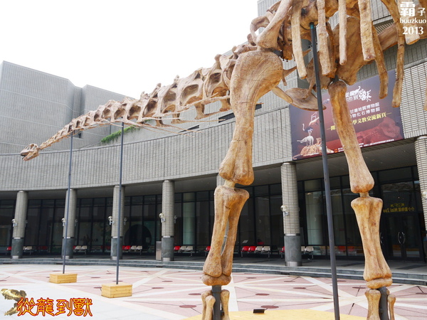 台中國立自然科學博物館：科博館有大批恐龍出沒拉 ～「從龍到獸大滅絕與大演化」特展