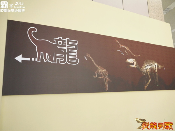 台中國立自然科學博物館：科博館有大批恐龍出沒拉 ～「從龍到獸大滅絕與大演化」特展