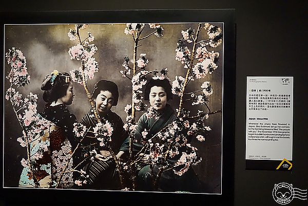 國家地理125年經典影像大展(台中場)：※ 國家地理125年經典影像大展 ※【星羽愛玩樂-台中】是影像也是冒險者/攝影者生平的紀錄，豐富內容讓人感動千萬不可錯過~