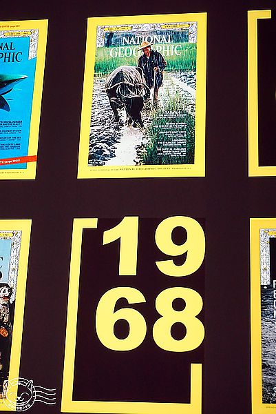 國家地理125年經典影像大展(台中場)：※ 國家地理125年經典影像大展 ※【星羽愛玩樂-台中】是影像也是冒險者/攝影者生平的紀錄，豐富內容讓人感動千萬不可錯過~