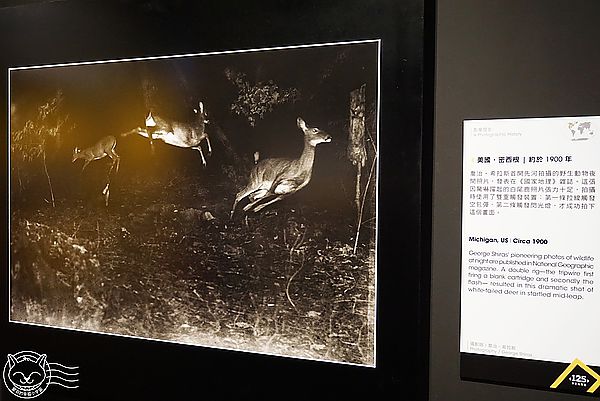 國家地理125年經典影像大展(台中場)：※ 國家地理125年經典影像大展 ※【星羽愛玩樂-台中】是影像也是冒險者/攝影者生平的紀錄，豐富內容讓人感動千萬不可錯過~