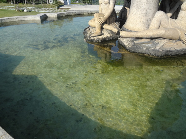 cm20130904___f6c7713102a9667231fd820f1ef