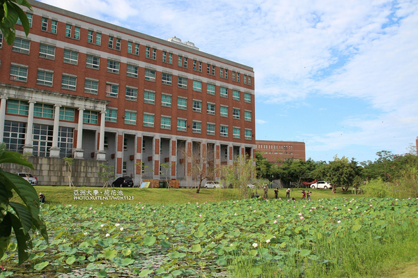 亞洲大學(ASIA UNIVERSITY):亞洲大學✪荷花池~早起的人兒拍花兒去~103.05.14&05.17