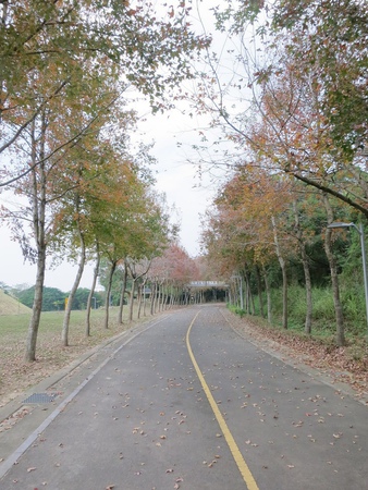 台中后豐鐵馬道