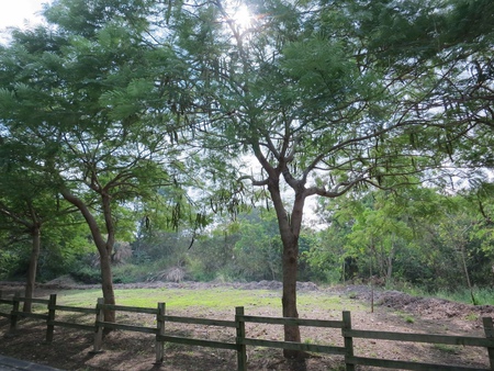 台中后豐鐵馬道