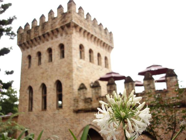 cm20140816___8865b8827ba0611838119a2567c