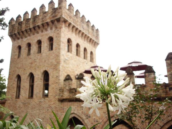 cm20140816___c4196b82241ed46b5ef67e547cb