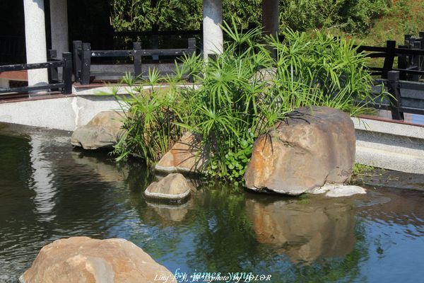 台中港區藝術中心:具備文藝氣息及古色古香的藝術中心