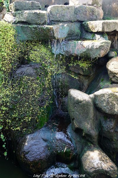 台中港區藝術中心:具備文藝氣息及古色古香的藝術中心