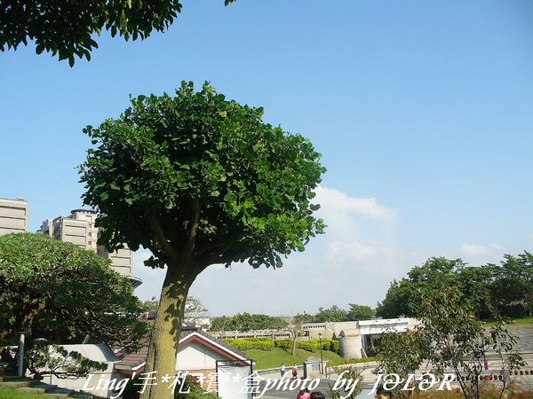 台中港區藝術中心:具備文藝氣息及古色古香的藝術中心