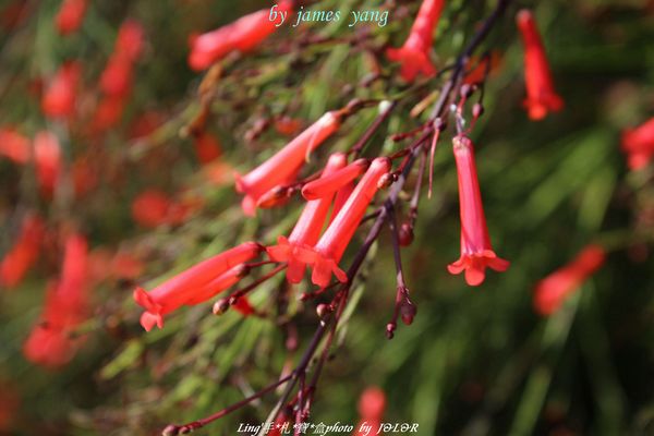 台中港區藝術中心:具備文藝氣息及古色古香的藝術中心