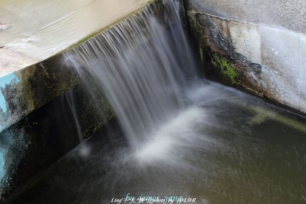 台中港區藝術中心:具備文藝氣息及古色古香的藝術中心