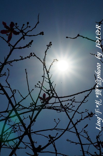 台中港區藝術中心:具備文藝氣息及古色古香的藝術中心