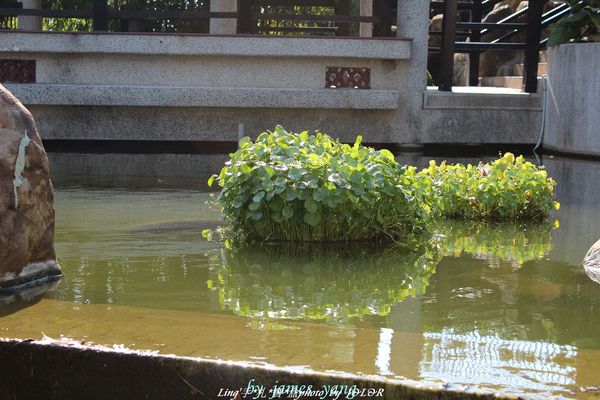 台中港區藝術中心:具備文藝氣息及古色古香的藝術中心