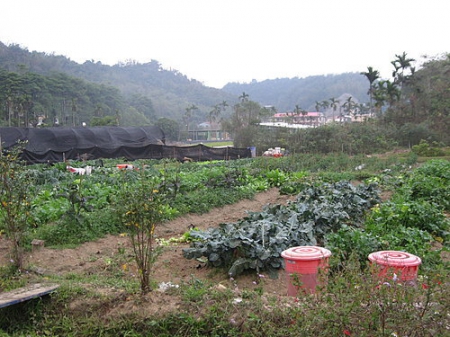 紙教堂:台灣第一座紙教堂