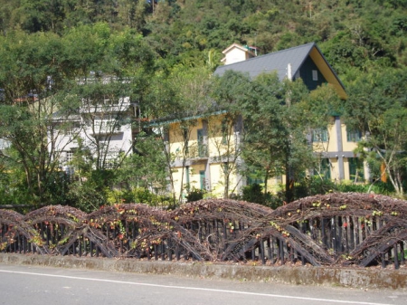 紙教堂:台灣第一座紙教堂