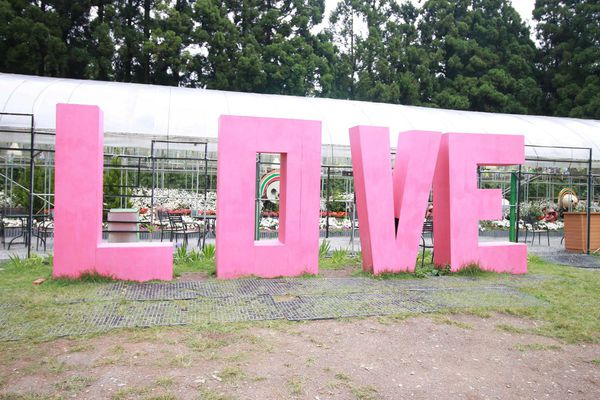 清境農場-清境小瑞士花園-小小花園，大大費用