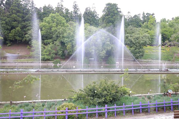 清境農場-清境小瑞士花園-小小花園，大大費用