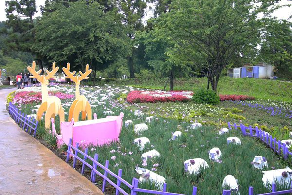 清境農場-清境小瑞士花園-小小花園，大大費用