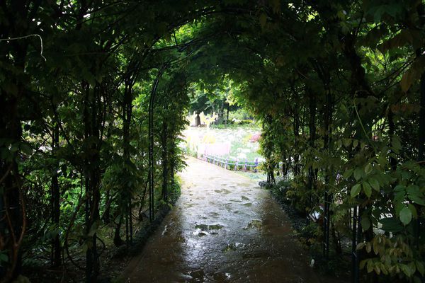 清境農場-清境小瑞士花園-小小花園，大大費用