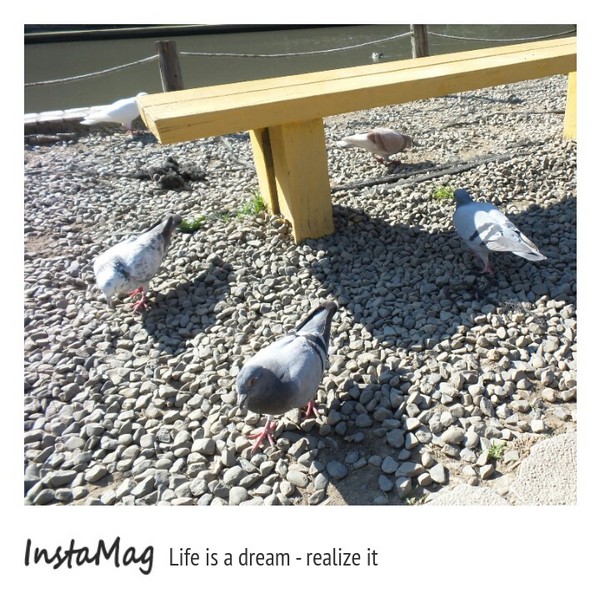 清境小瑞士花園:【南投景點】歐式童話城堡~清境瑞士小花園