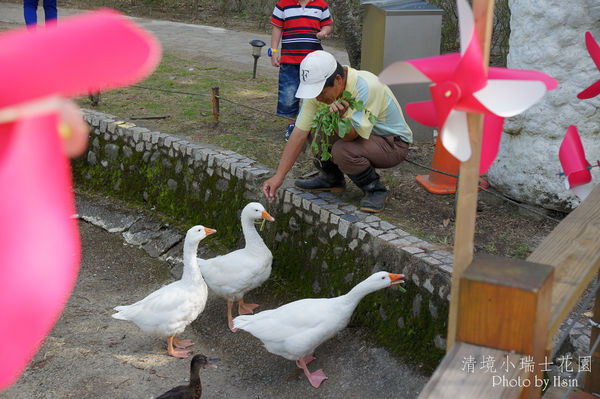 清境小瑞士花园