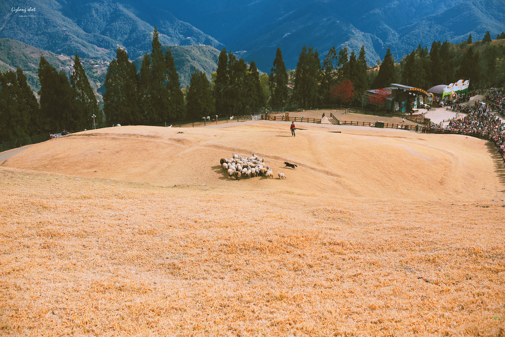 清境農場的暴走紀實