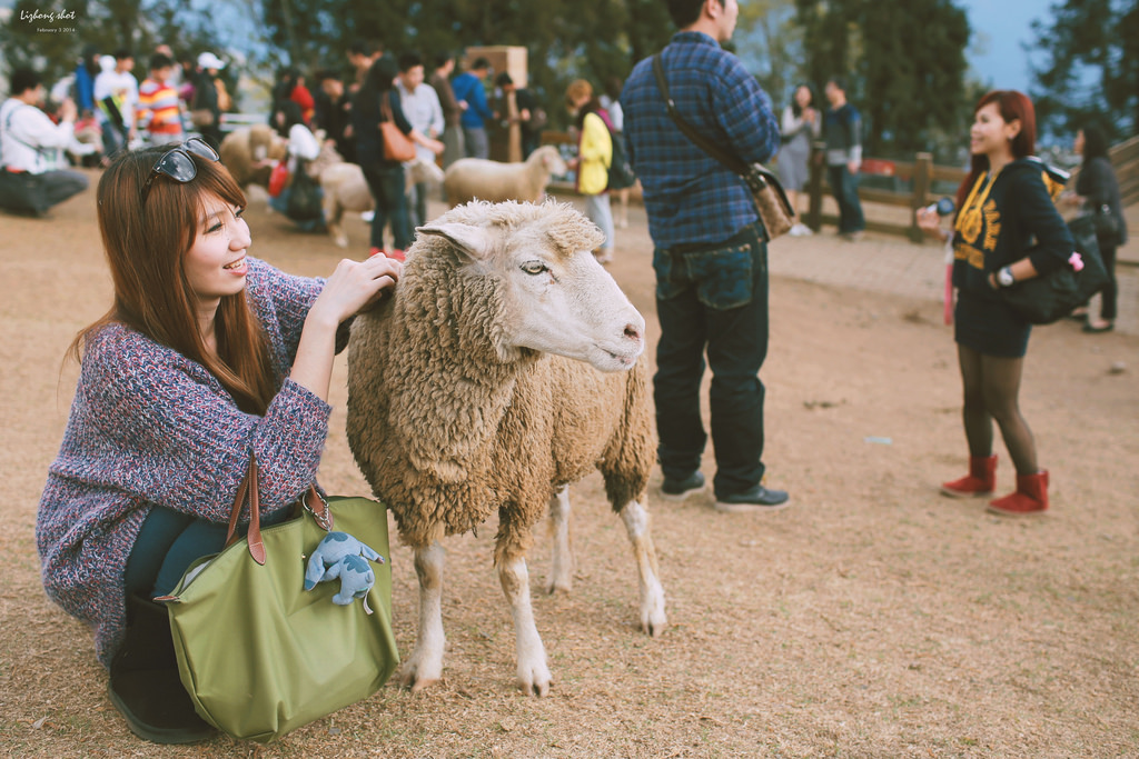 清境農場的暴走紀實