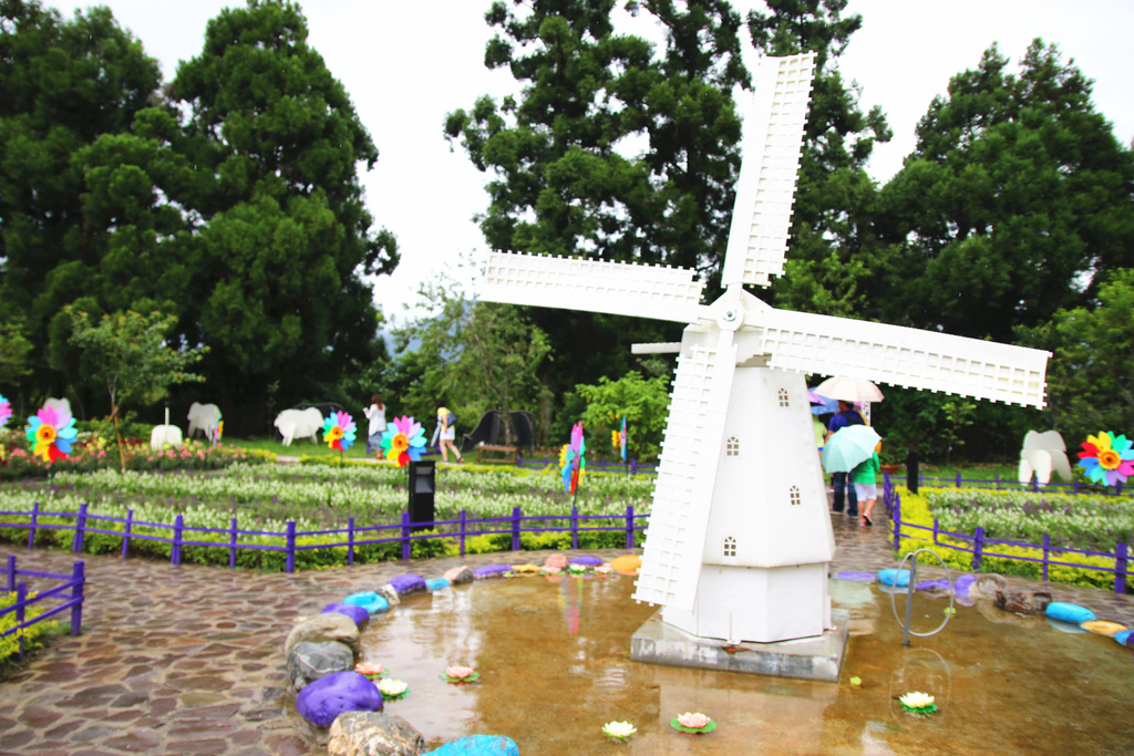 南投清境小瑞士風車節24.jpg