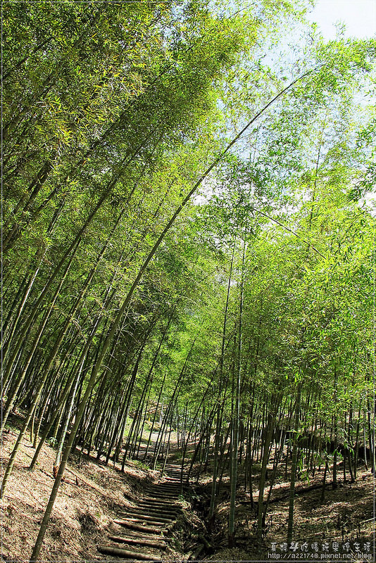 01天梯09IMG_8316