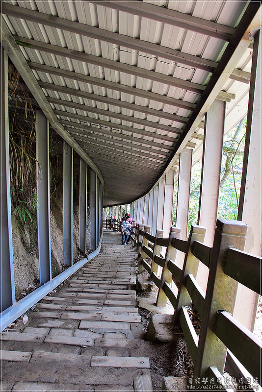 01天梯11IMG_8324