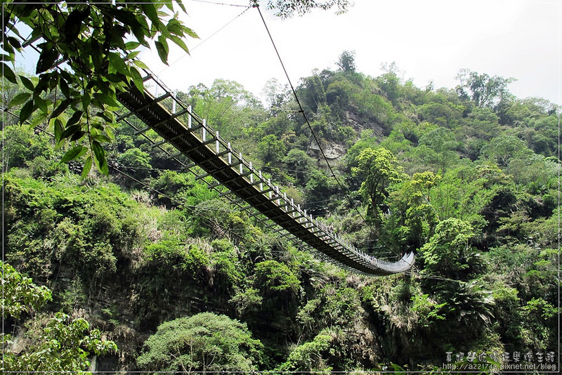 01天梯20IMG_8375