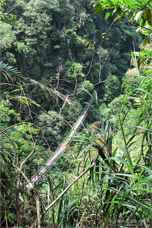 01天梯12IMG_8326