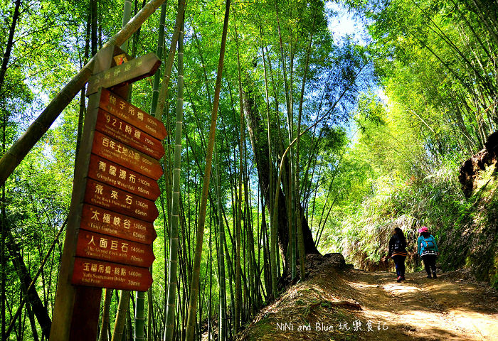 南投好茶一日遊03