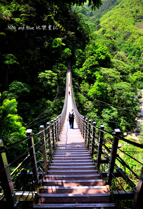 南投好茶一日遊07