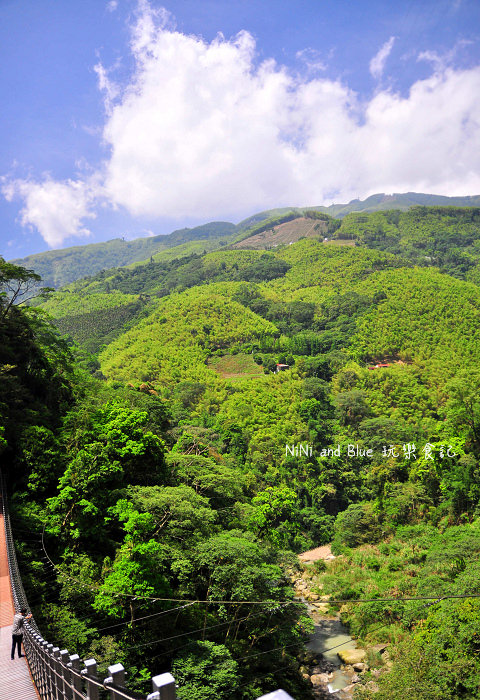 南投好茶一日遊08