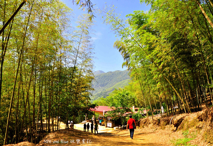南投好茶一日遊04