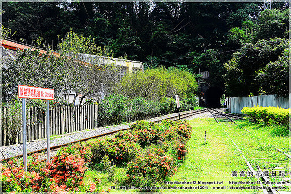 車埕火車站:【南投】水里鄉。車埕車站 週邊鐵道遺址《加煤平臺 加水塔 號誌樓》