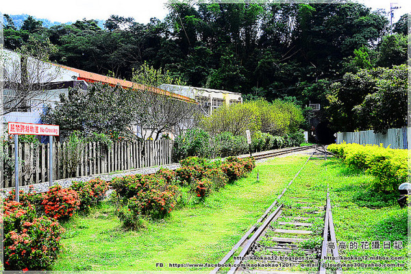 車埕火車站:【南投】水里鄉。車埕車站 週邊鐵道遺址《加煤平臺 加水塔 號誌樓》