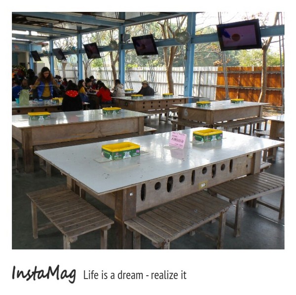 造紙龍手創館：水池裡竟然還有張大樂透圖~造紙龍手創館