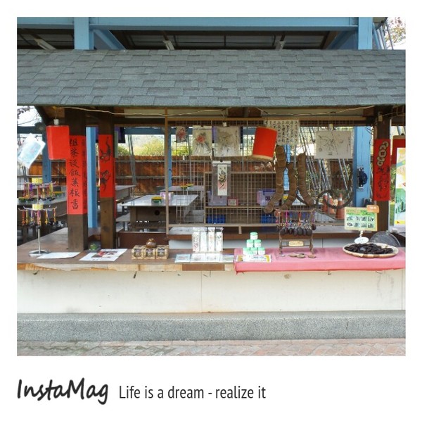 造紙龍手創館：水池裡竟然還有張大樂透圖~造紙龍手創館