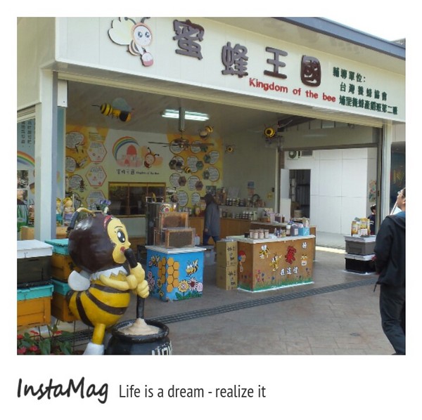 造紙龍手創館：水池裡竟然還有張大樂透圖~造紙龍手創館