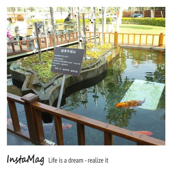 造紙龍手創館：水池裡竟然還有張大樂透圖~造紙龍手創館